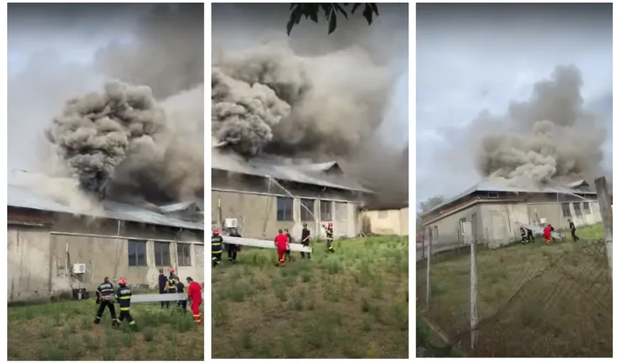Incendiu puternic la o fabrică de lactate din Prahova