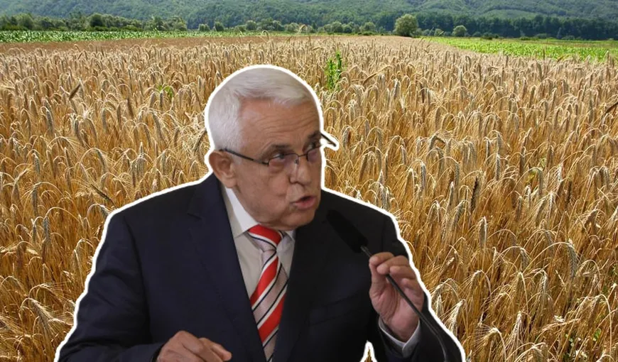 Petre Daea prezintă efectele devastatoare ale secetei: În România s-a recoltat peste 94% din suprafața de grâu, deci avem pâine. Porumbul şi floarea soarelui sunt cele mai afectate