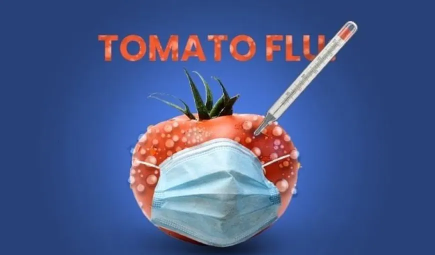 Gripa tomatelor, un nou virus foarte contagios, se răspândește în rândul copiilor. Care sunt simptomele
