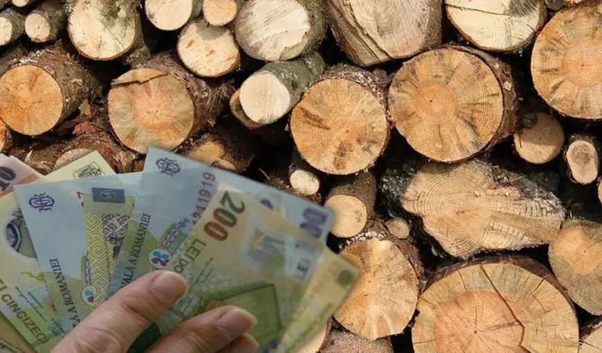 Bani de la stat pentru lemne de foc. Ministrul Mediului: „Impactul cred că este suportabil și poate fi acoperit din bugetul de stat”