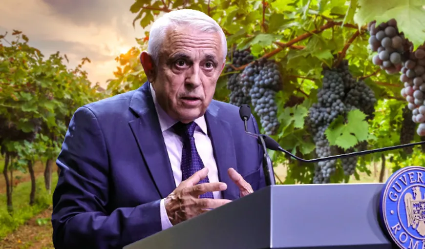 Ministrul Petre Daea vrea să crească producția de vin 100% românesc. Investiții masive anunțate de Ministerul Agriculturii