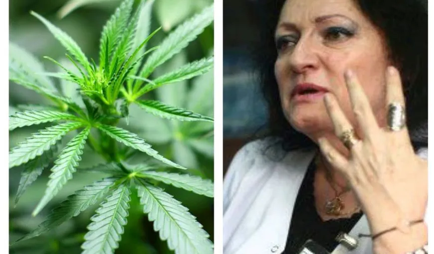 Dr. Monica Pop susține legalizarea canabisului:”E legalizată morfina și nu legalizează canabisul? E o prostie incomensurabilă”