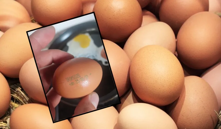 Şocul pe care l-a avut un clujean când a spart ouă să facă ochiuri: ”M-am speriat că puiul va sări din tigaie”