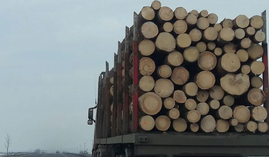 Ungaria ar putea interzice exportul de lemn de foc, după ce Ucraina a întrerupt livrarea de petrol rusesc prin conducta Drujba