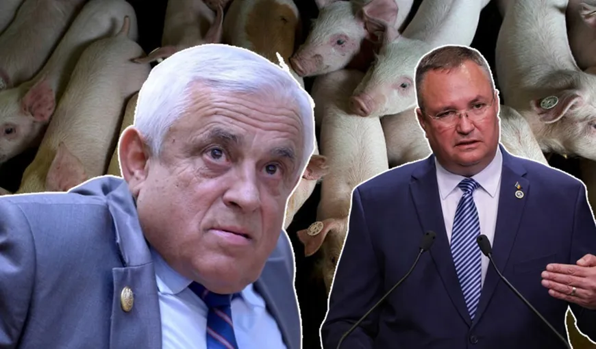 Premierul Nicolae Ciucă i-a cerut lui Petre Daea să ia măsuri în ceea ce privește siguranța alimentară și în privința combaterii pestei porcine