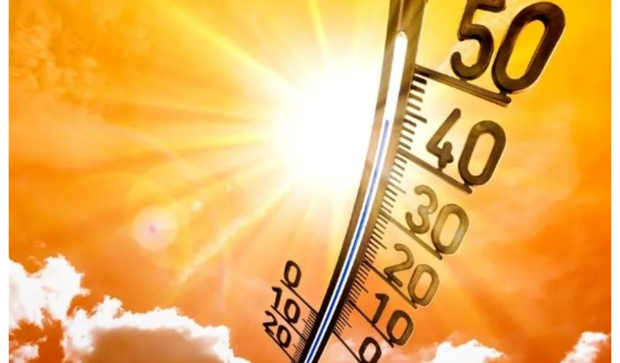 Vara anului 2022 a fost cea mai călduroasă vară înregistrată în Europa. Au fost temperaturi de 47 de grade Celsius