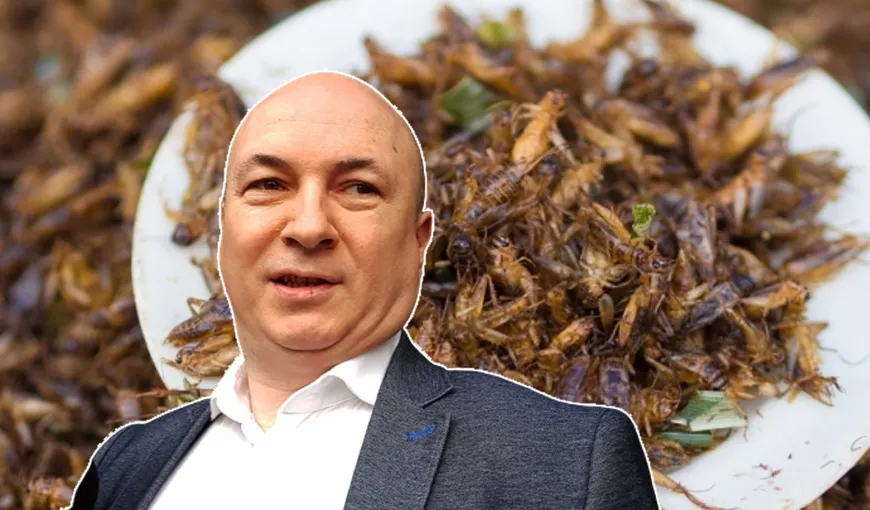 Codrin Ştefănescu, despre impunerea insectelor ca alimente: „Românul e învăţat să trăiască din ce creşte în curtea lui. Ei ne distrug stilul de viaţă”