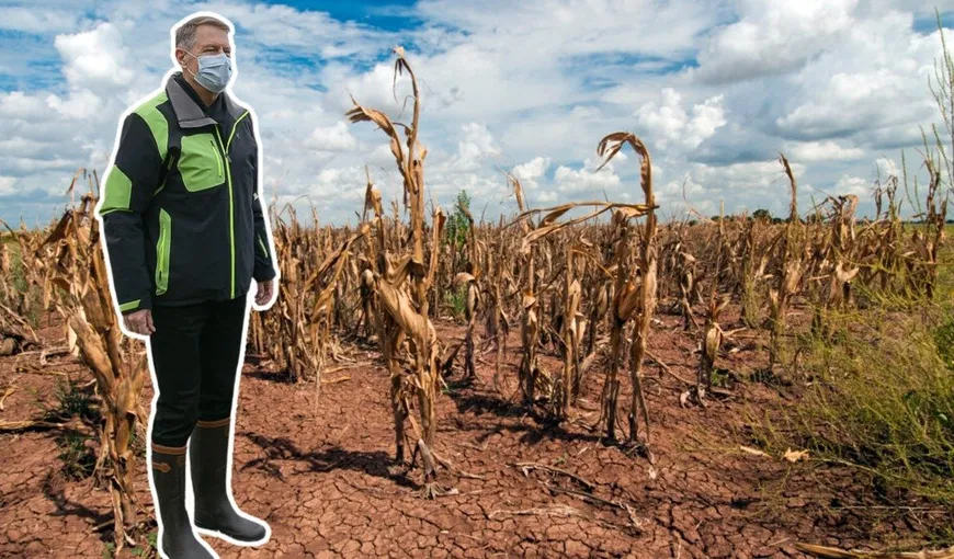 Klaus Iohannis a pornit lupta împotriva schimbărilor climatice: „În această vară marcată de secetă am avut dovezi clare că în România au devenit un fenoment real”