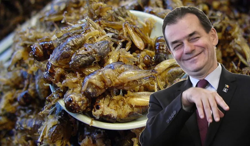 Ludovic Orban, reacţie dură după ce AUR a cerut interzicerea consumului de insecte. „Mănânc ce vreau!”