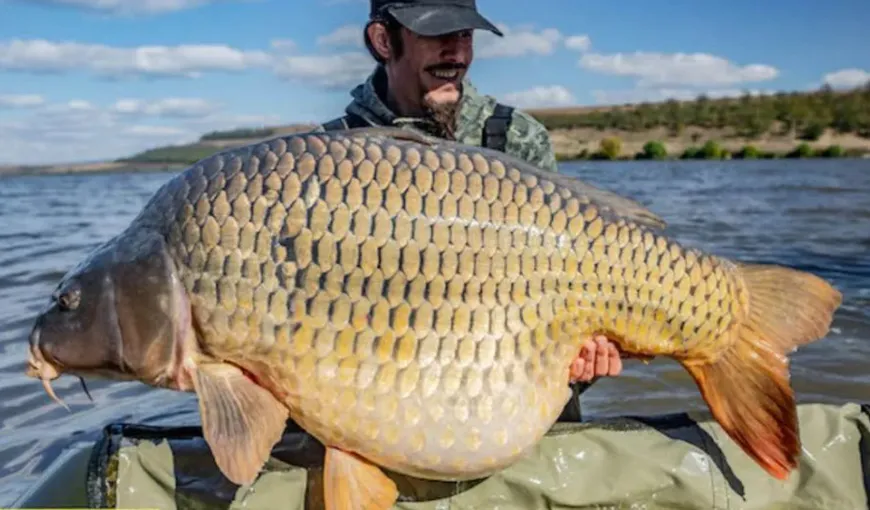Monstrul din Lacul Horgeşti a fost prins! Crapul de 30 de kilograme a fost vânat ani de zile de pescari