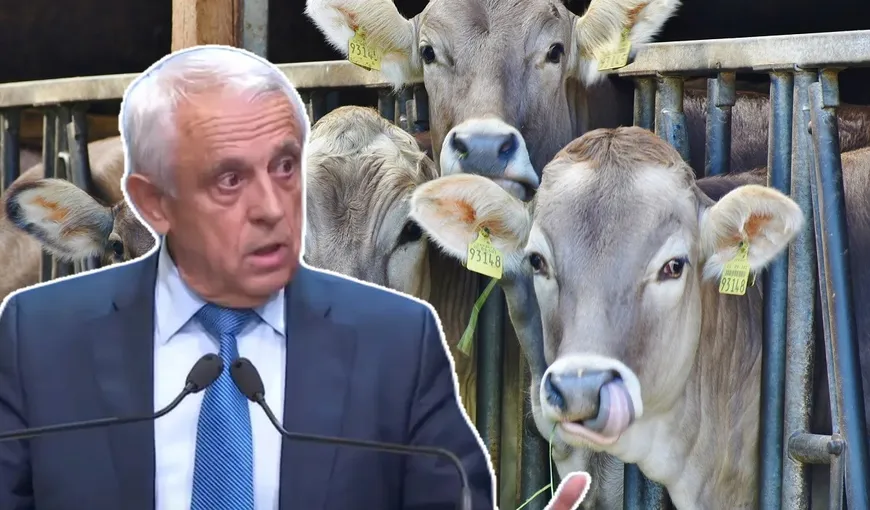 EXCLUSIV Petre Daea asigură că nu se închid fermele: „Nu am văzut vreo fabrică de lapte artificial, tot vaca este cea care ne dă acest aliment”