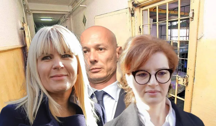 Curtea Supremă a decis cum trebuie aplicate deciziile CCR referitoare la prescripție. Elena Udrea, Ioana Băsescu şi Bogdan Olteanu pot ieşi din închisoare