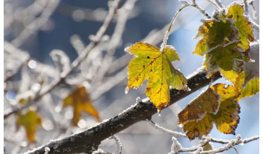 PROGNOZA METEO 6 septembrie 2022. Scad semnificativ temperaturile, iar bruma şi ceaţa ne strică dimineţile frumoase de toamnă