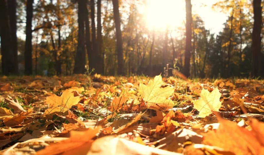 PROGNOZA METEO 24 octombrie. Zile de sfârşit de vară, temperaturile urcă până la 27 de grade, inclusiv în Bucureşti