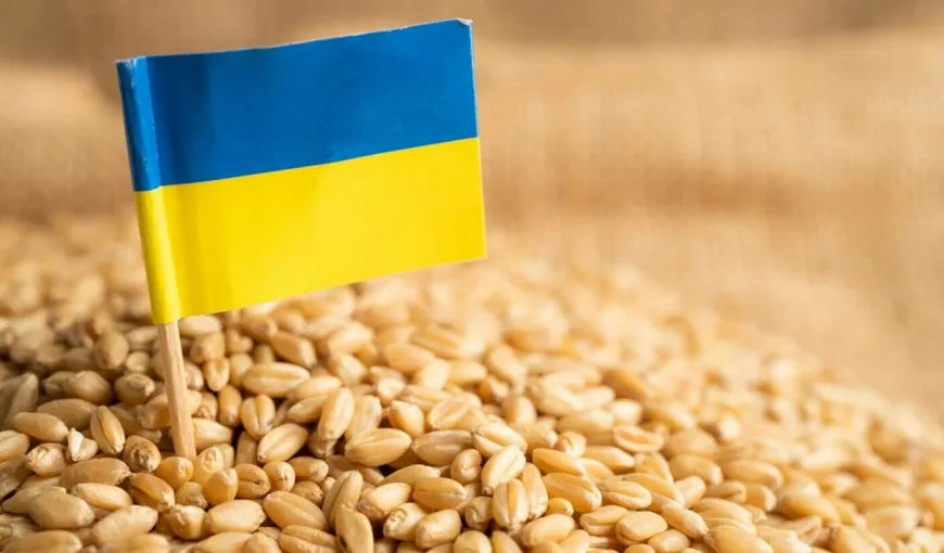 Zelenski, din nou despre criza alimentară: Viaţa a milioane de oameni depinde de cerealele Ucrainei
