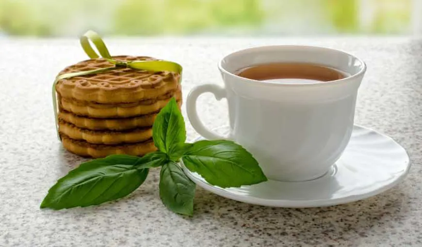 Ceaiul de busuioc, remediu pentru afecțiunile respiratorii. Beneficiile și contradicțiile acestuia