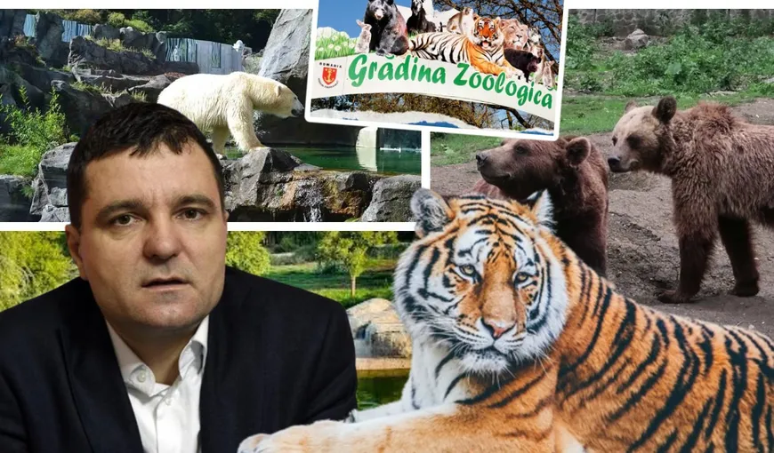 Nicușor Dan vrea o nouă grădină zoologică de 60 de hectare în București. Unde va fi amplasată