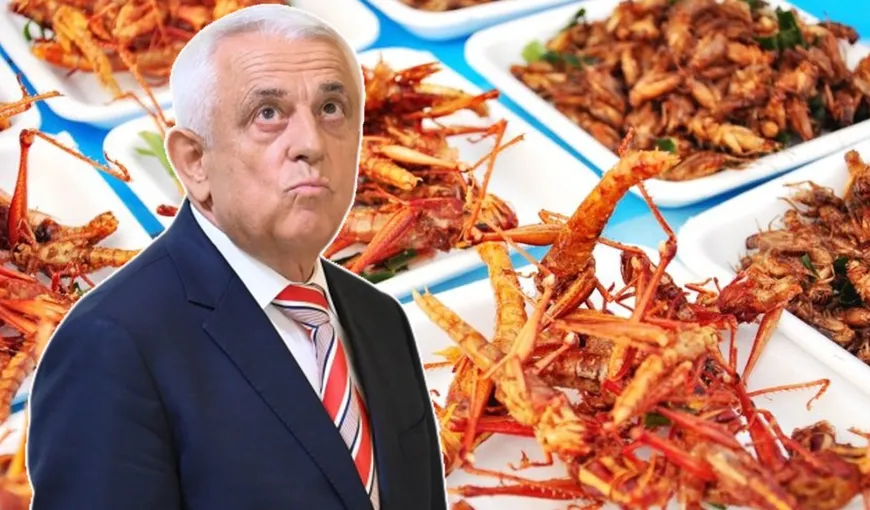 Petre Daea, despre scandalul privind legea care interzice folosirea gândacilor în mâncare: ”Să nu ne apucăm să mâncăm greieri”