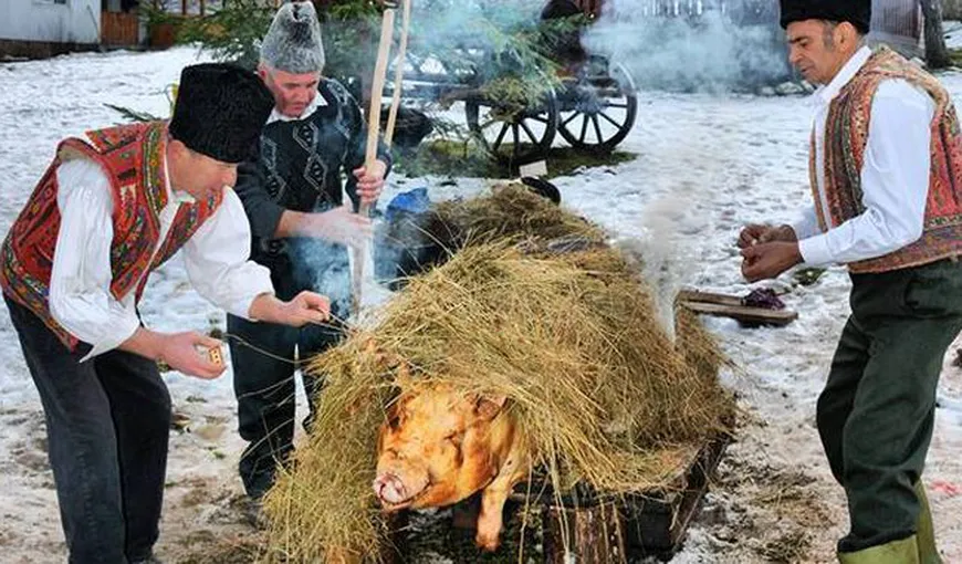 Românii rămân fără porci de Crăciun. Noi focare de pestă porcină africană descoperite în ultimele zile în România