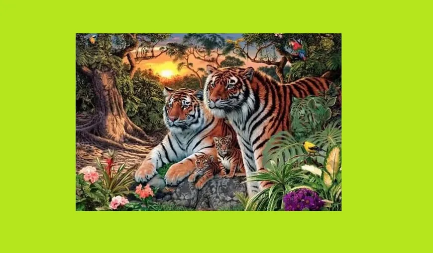 Câți tigri vezi în această imagine? Întrebarea care a încins internetul