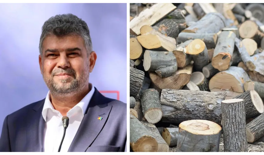 Marcel Ciolacu, despre prețul lemnului de foc: ”Va exista o compensație pentru cei care au nevoie”
