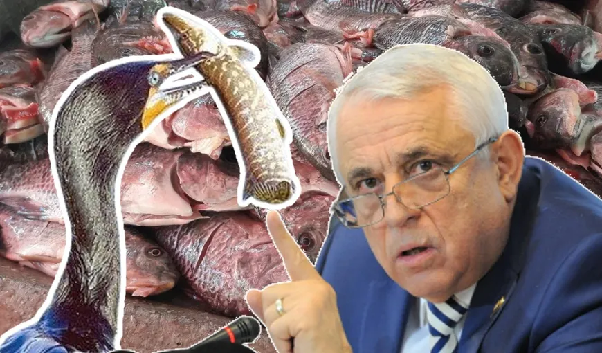 Petre Daea: Românii să mănânce mai mult peşte decât cormoranii. Trebuie să producem mai mult