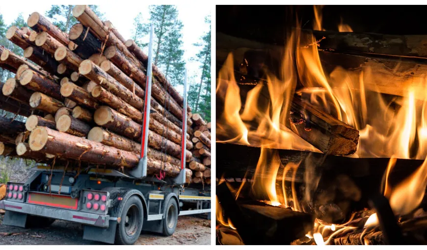 Bătaie de joc! Romsilva dublează artificial prețul lemnului de foc, spune Cătălin Tobescu: ”Sunt mult mai mari decât cele de pe piața europeană”