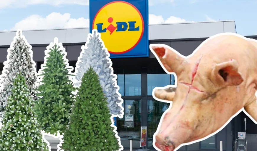 LIDL lichidează stocurile de Crăciun, va fi bătaie la raft de joi. Preţuri de chilipir la sute de produse. Vedeta sunt mici din porc Mangaliţa!