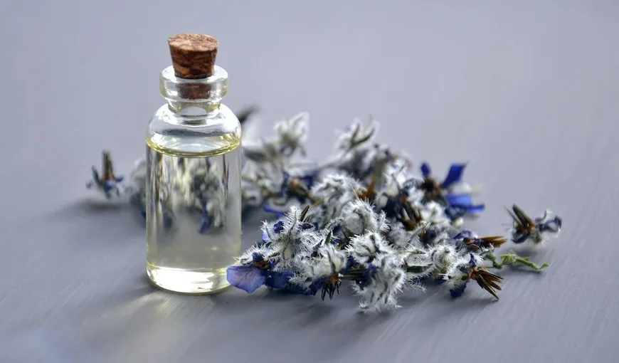 Cum să îți alegi parfumul în funcție de personalitate. Iată trucul de care trebuie să ții cont