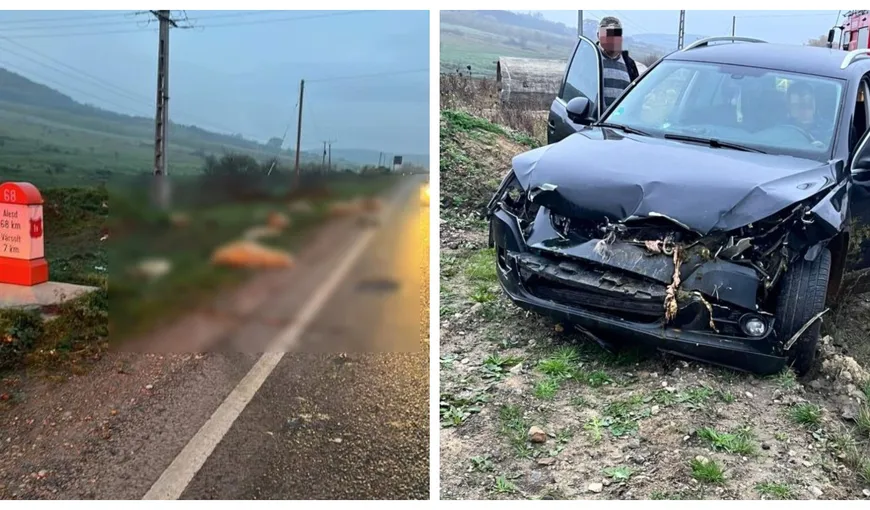 Accident dramatic în Sălaj. Un șofer a ucis 21 de oi