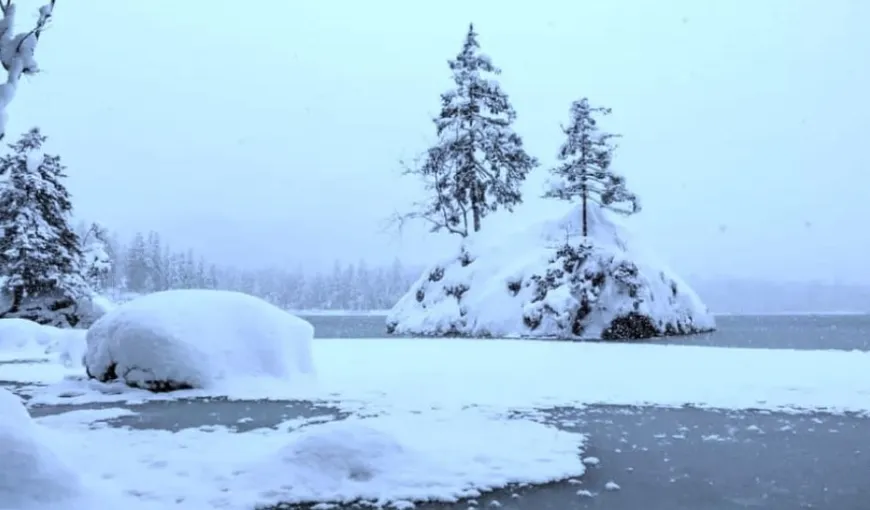 Una dintre cele mai grele iluzii optice de iarnă. Găsește ursul polar în 15 secunde