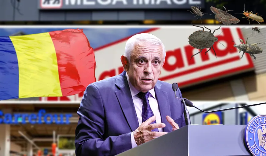 Petre Daea pune tunurile pe marile lanțuri străine de magazine: „Sunt niște condiții impuse!” / Cum explică insectele din meniurile românilor (VIDEO EXCLUSIV)