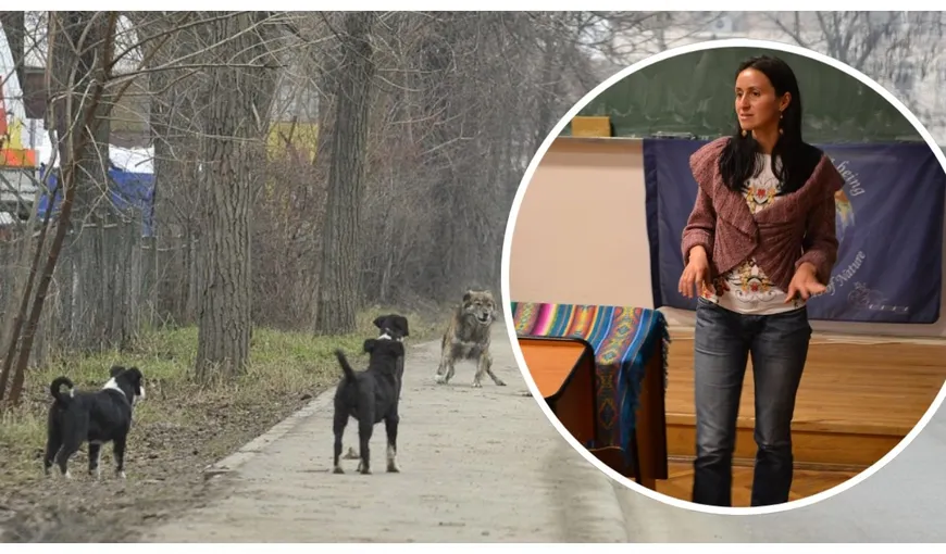 Apar mărturii șocante în cazul femeii sfâșâiate de câini în Lacul Morii! Un bărbat care locuiește în zonă a rupt tăcerea: „A fost sfâșiată de câinii de luptă ai mizeriilor de oameni care îi lasă liberi”