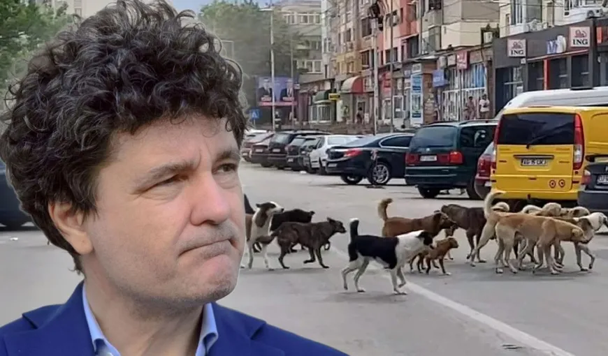 Nicuşor Dan recunoaşte că, în Bucureşti, problema câinilor abandonaţi este una îngrijorătoare: „Ar fi suficient ca unul din 1.000 de bucuresteni să adopte un câine ca noi să golim adăposturile”