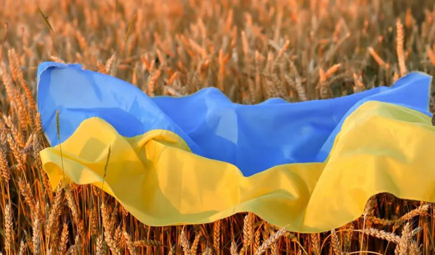 PSD solicită Guvernului să pregătească actul normativ pentru suspendarea temporară a importurilor de cereale din Ucraina