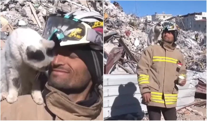 Imagini emoționante cu reacția unei pisici salvate după 11 zile de la cutremurul devastator din Turcia VIDEO