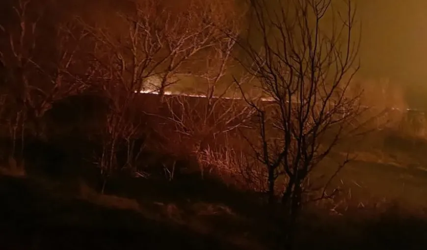 Incendiu puternic în Delta Dunării: ard sute de hectare de papură şi stuf VIDEO