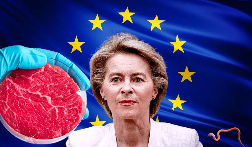 Revoltă la nivelul UE, după ce Bruxellesul a anunțat că e gata să aprobe carnea artificială, după insecte: „Democrația economică e pusă în pericol!” / Hypermarketurile au început deja să retragă de pe rafturi produsele din carne naturală