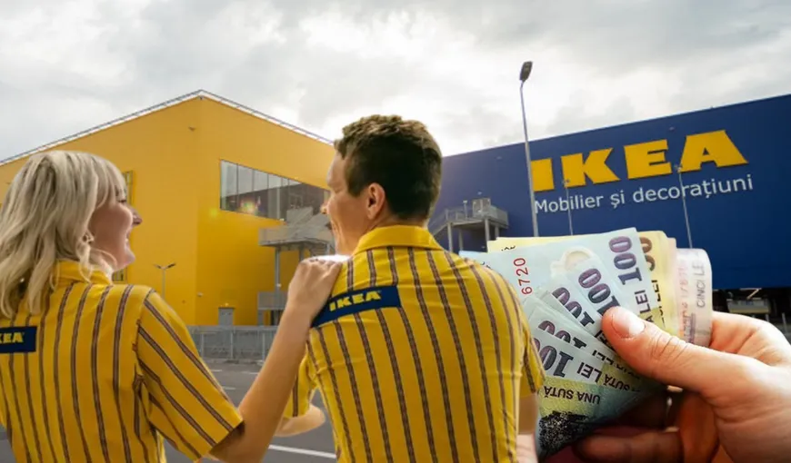 Angajări la IKEA. Se oferă prime de sărbători, vouchere de vacanță, transportul e decontat. „Muşchii” sunt un atu la interviu