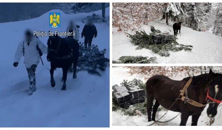 Țigări de contrabandă transportate cu ajutorul unui cal, la Valea Vişeului. Cum a încercat traficantul să scape