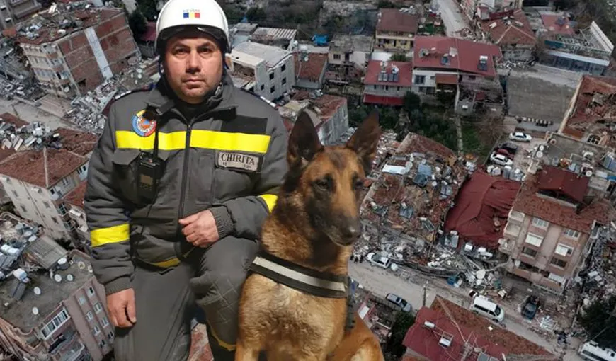 O zi din viaţa lui Speedy, câinele care salvează vieţi în Turcia: „Tati, o singură dată mai ieşim şi îţi promit că venim să ne odihnim”
