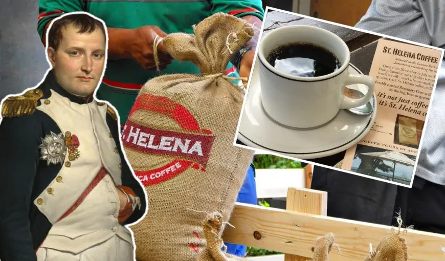 Cafeaua Sfânta Elena, plantată de Napoleon Bonaparte, căutată în întreaga lume. Şi românii o preferă: „Din 500 kilograme, 180 ajung în București”