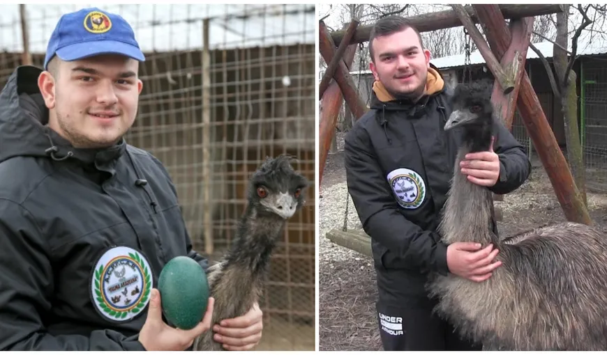 Un român s-a apucat să crească păsări exotice, iar rezultatele sunt formidabile. Un singur ou se vinde cu 150 de lei