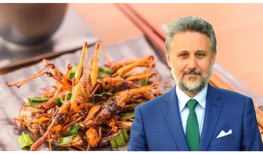 Ambasadorul României în Mexic, despre consumul de insecte: ”Mânânc greieri regulat. Nu greierii îngrijorează, ci creierii”