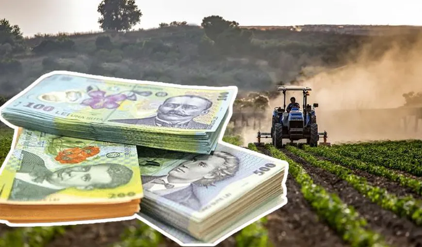 Subvenții de mii de euro de la APIA pentru fermieri. Culturile pentru care poți primi cei mai mulți bani