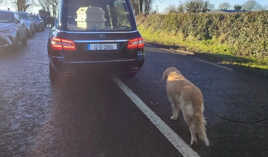 Imagini emoționante! Un câine și-a condus stăpâna pe ultimul drum. „Ce imagine fantastică. A fost cu ea până la capăt”