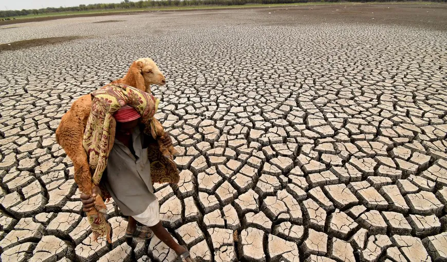 Fenomenul meteorologic El Nino amenință clima mondială. „Riscă să alimenteze un nou vârf al temperaturilor mondiale”