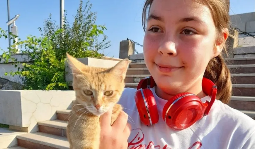 Alertă! O fată, de 14 ani, a dispărut fără urmă după ce a citit „Pisicile Războinice”. A plecat să refacă un traseu din poveste