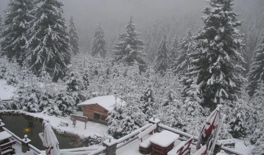 Prognoza meteo 16 martie. Se întoarce iarna în România. Va ninge și se va depune strat de zăpadă la munte, ploi în rest