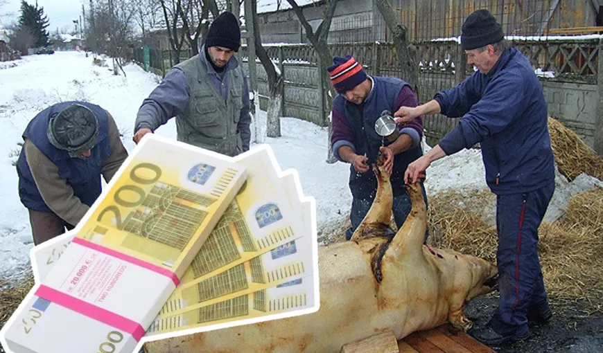 Vouchere 2023 pentru porc de Crăciun. Românii care pot primi tichet de 200 de euro de la ANSVSA